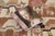 Chocolate Vintage Scandinavian Wool Kilim With Pictorials by Rug & Kilim, 1950-1959 For Sale - Image 8 of 8