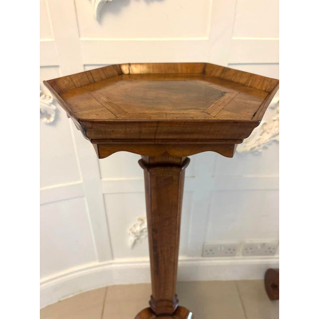 Antique Dutch Walnut and Kingwood Pedestal Torcheres, 1800, Set of 2 For Sale - Image 10 of 17