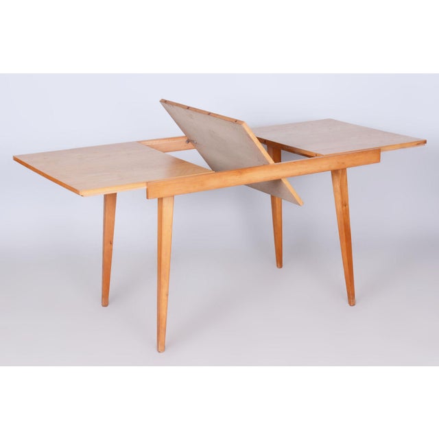 Brown Mid-Century Czech Extendable Table in Beech and Ash attributed to Tatra Pravenec, 1950s For Sale - Image 8 of 17