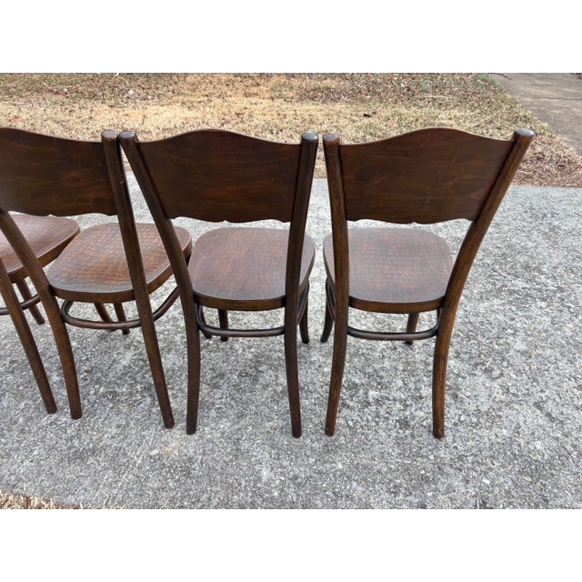 1920s Model 255 Thonet Bentwood Chairs "Crocodile" Pattern, Set of 4 For Sale - Image 12 of 13