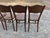 1920s Model 255 Thonet Bentwood Chairs "Crocodile" Pattern, Set of 4 For Sale - Image 12 of 13