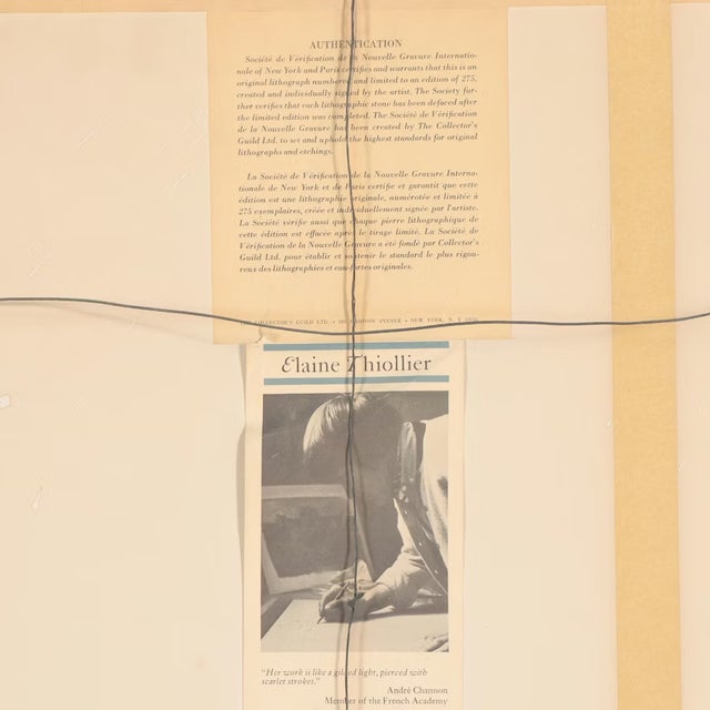 Brown French Country Landscape Lithograph by Eliane Thiollier, Framed For Sale - Image 8 of 12