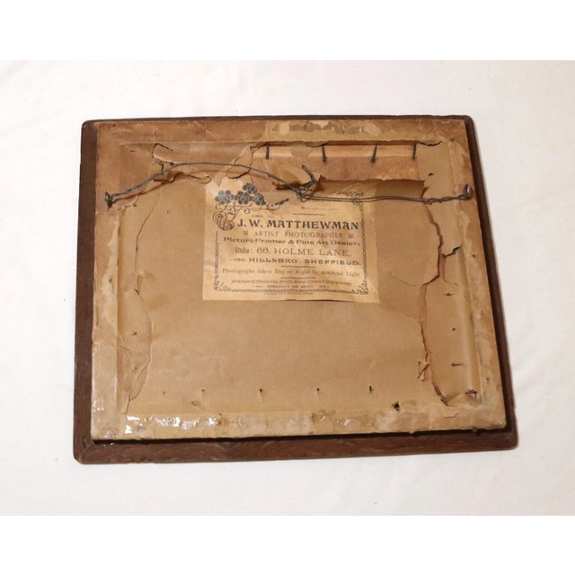 Rare Antique 1800's j.w. Matthewman Figural Ladies Hand Colored Photograph Photo For Sale - Image 12 of 12