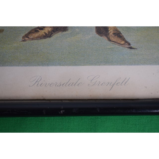 1910s 1910s Polo Player ‘Riversdale Grenfell’ (1880-1914) by “Emu” (William Dyson 1880-1938) Reproduction For Sale - Image 5 of 6