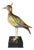 Crested Bird Polychrome Porcelain & Ormolu Sculpture, 1970s For Sale