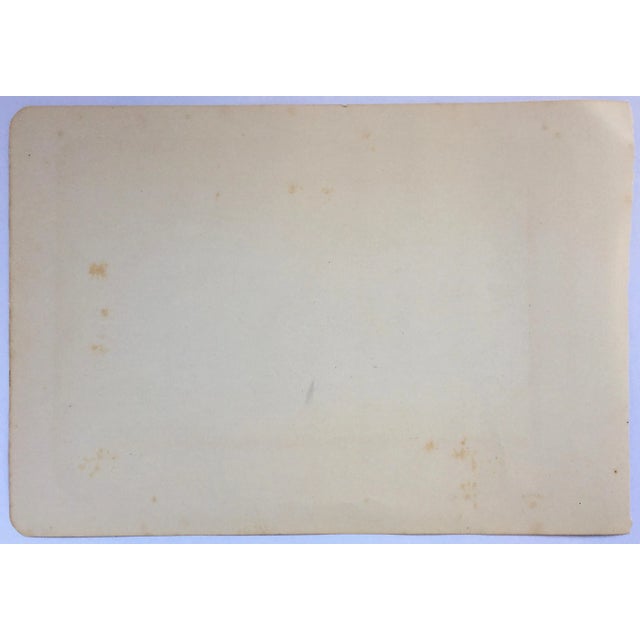 Illustration 1907 French Photogravure Print of Brant Geese - For Sale - Image 3 of 10