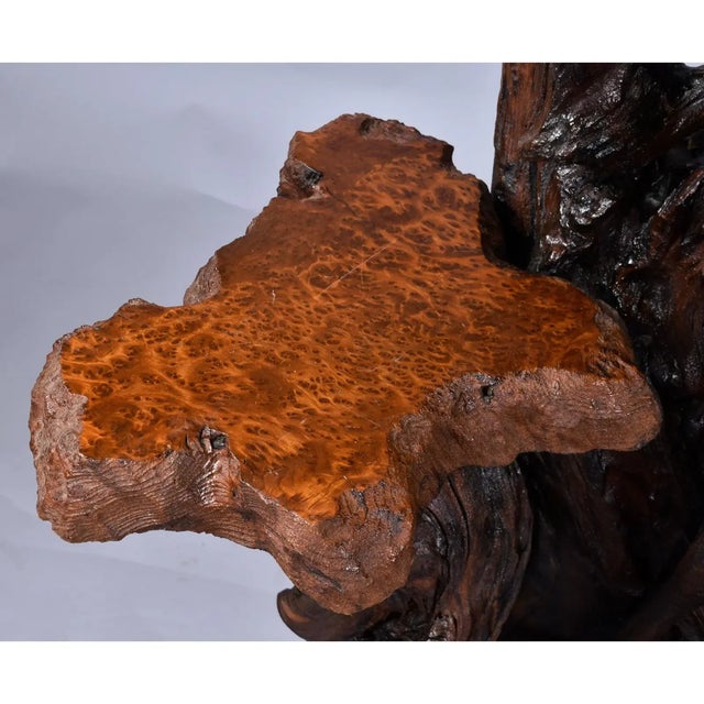 George Nakashima Large Rustic Live Edge Tree Trunk Plant Stand or Art Pedestal For Sale - Image 4 of 13
