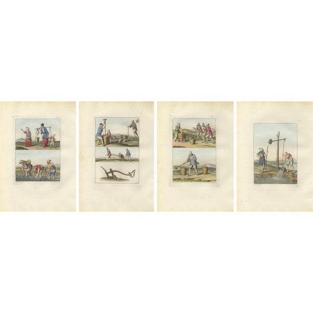 Ferrario, Chinese Agricultural Labor Scenes, Hand-Colored Engravings, 1815, Set of 4 For Sale - Image 9 of 9