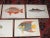 Authentic Antique 19th Century Tropical Fish Lithographs - Set of 10 For Sale - Image 4 of 7