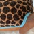 Brown Antique Handcarved Side Chairs With Leaf Design and Leopard Upholstery and Turquoise Welting - a Pair For Sale - Image 8 of 10