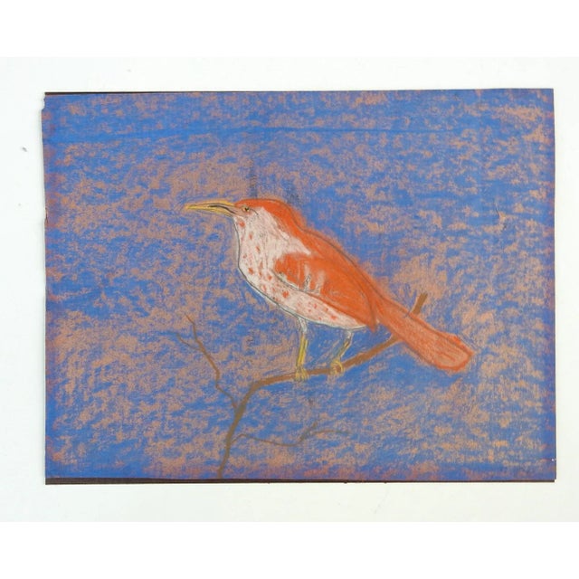 Vintage folk art pastel on paper drawing of a bird. Unsigned. Unframed, corner loss.
