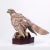 Kaiser Porcelain Goshawk Sculpture on Wood Base For Sale - Image 4 of 9