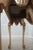 Gilted & Painted Granite Top Console Table For Sale - Image 14 of 14