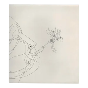 George Stuempfig Venus Fly Trap Portrait Etching