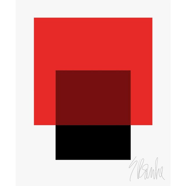 The Interaction of Red and Black Fine Art Print 45" X 55" by Liz Roache For Sale
