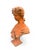 Capture the timeless beauty of classical sculpture with this exquisite vintage terracotta bust. The piece features a...