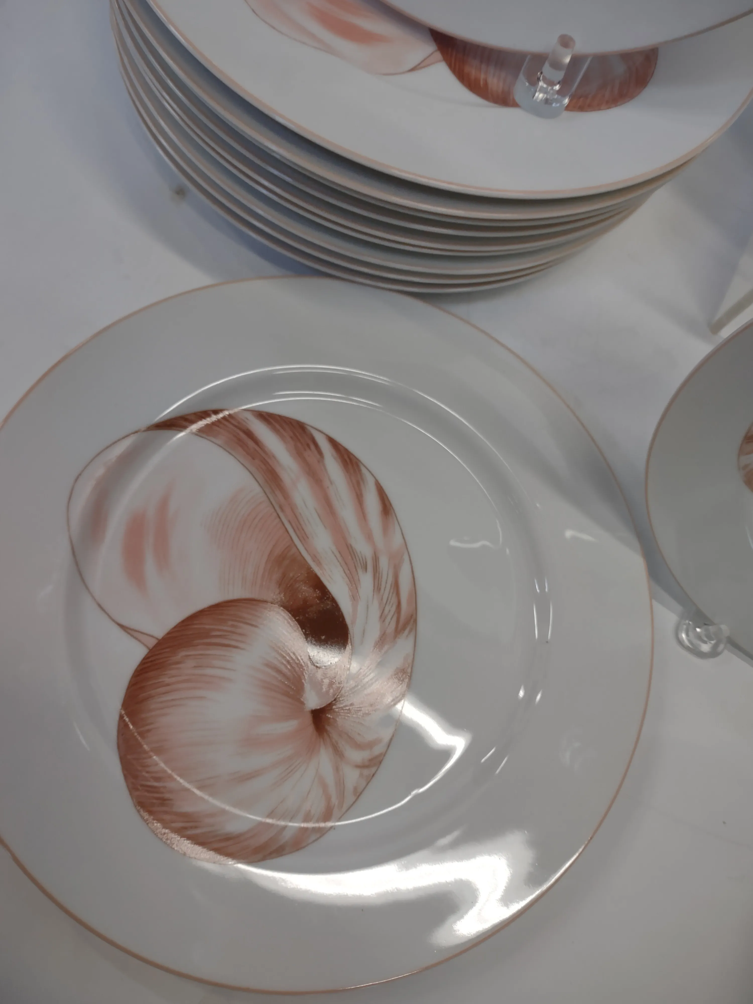 Coastal Chic Vintage Sea Shell Fitz and Floyd 