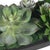 Stone Verde Succulent Centerpiece In Bowl For Sale - Image 7 of 8