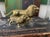 Early 20th Century Pair of Vintage Brass Lions For Sale - Image 5 of 9