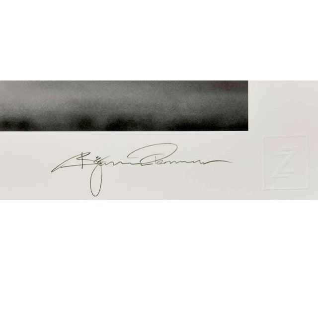 Modern Large Editioned Photograph Cheetah's Throne by Bjorn Persson For Sale - Image 3 of 5
