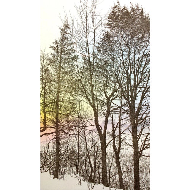 Paper Franklin Galambos "Distant Mistic" Hand Tinted & Signed Art Etching For Sale - Image 7 of 7