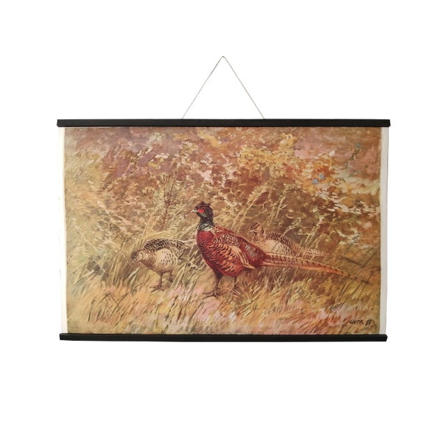 Poster of Pheasant, 1950s For Sale