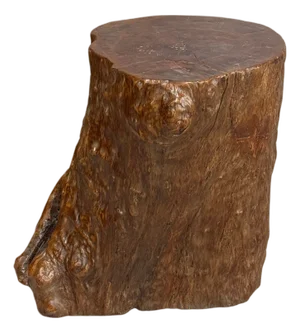 Reclaimed Tree Trunk Side Pedestal Table with Organic Shape