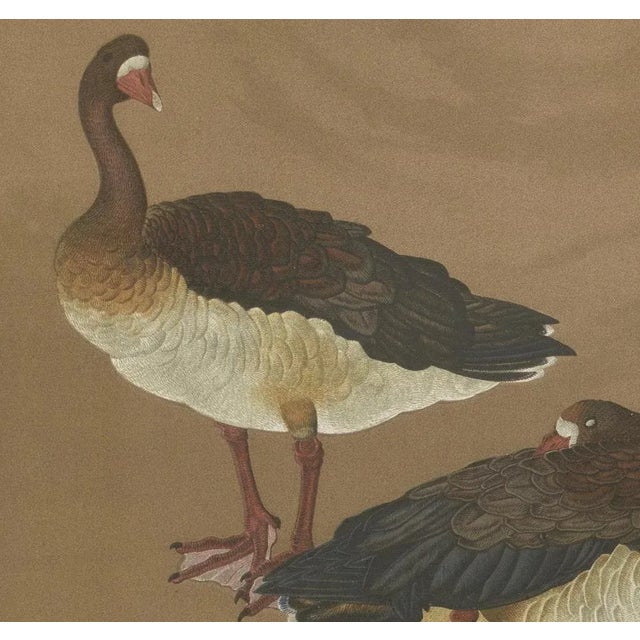 Japanese Geese, 1880s, Lithograph For Sale - Image 4 of 10