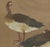 Japanese Geese, 1880s, Lithograph For Sale - Image 4 of 10