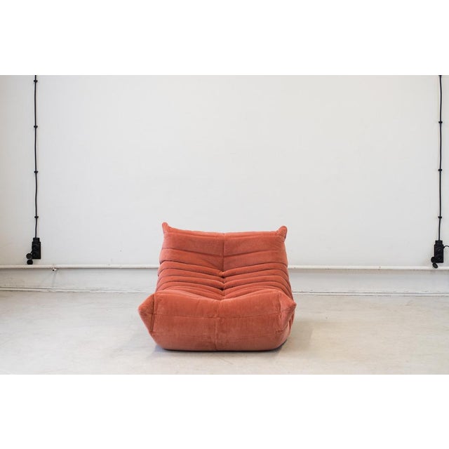 Togo Lounge Chair in Coral Corduroy by Michel Ducaroy for Ligne Roset For Sale - Image 9 of 16