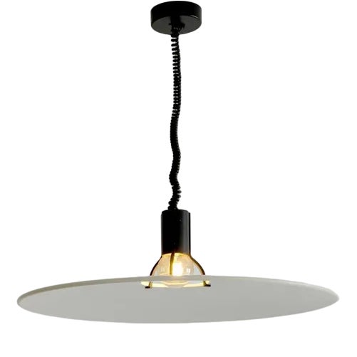 Space Age N°2133 Ceiling Light by Gino Sarfatti for Arteluce, France, 1950s For Sale