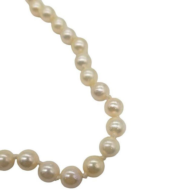 1950s Mid-Century South Sea Roud Pearl Choker Necklace on Silk Cord W/ Silver Clasp For Sale - Image 5 of 7