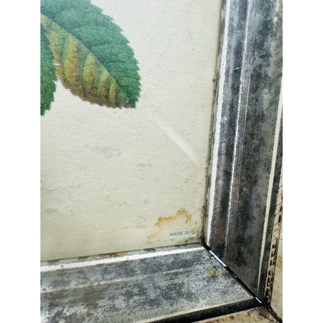 Shabby Chic Antique Floral Print For Sale - Image 4 of 9