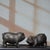 This is a charming vintage pair of Chinese bronze pig figures, sourced from an old collection. Each pig is finely cast...