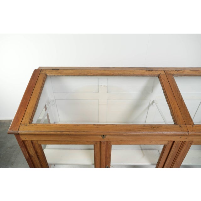 Large Vintage Museum Display Cabinet For Sale - Image 6 of 13