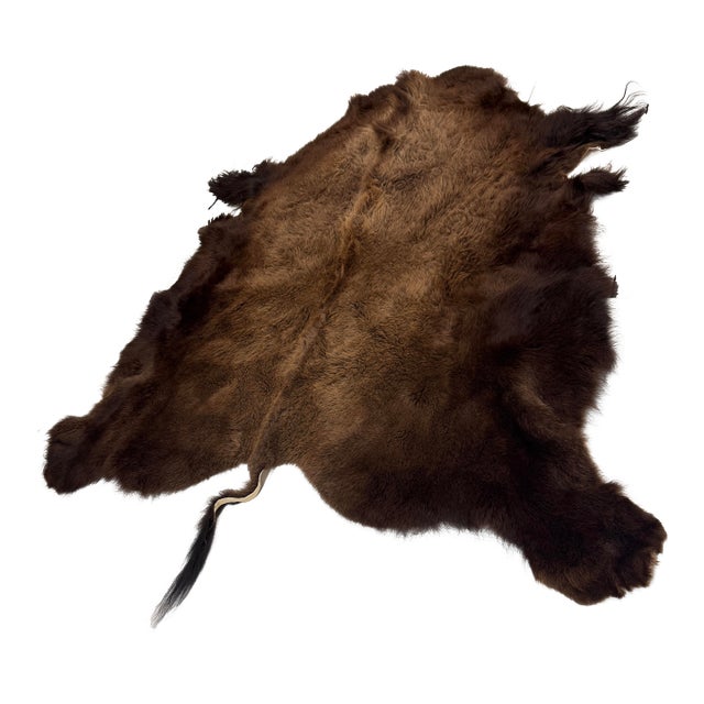 6ft 8in × 8ft Buffalo Pelt, Winter Woolly For Sale
