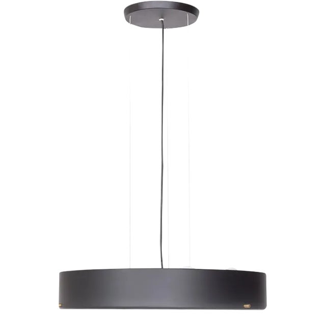 Model 288 Large Pendant Lamp by Bruno Gatta for Stilnovo, 1954 For Sale