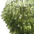 Suspension lamp composed of over 100 individually handcrafted petal-shaped elements in green Murano glass. The petals are...