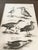 1678 Francis Willughby "Diving Birds" Copperplate Engraving – Archivally Matted For Sale - Image 4 of 6