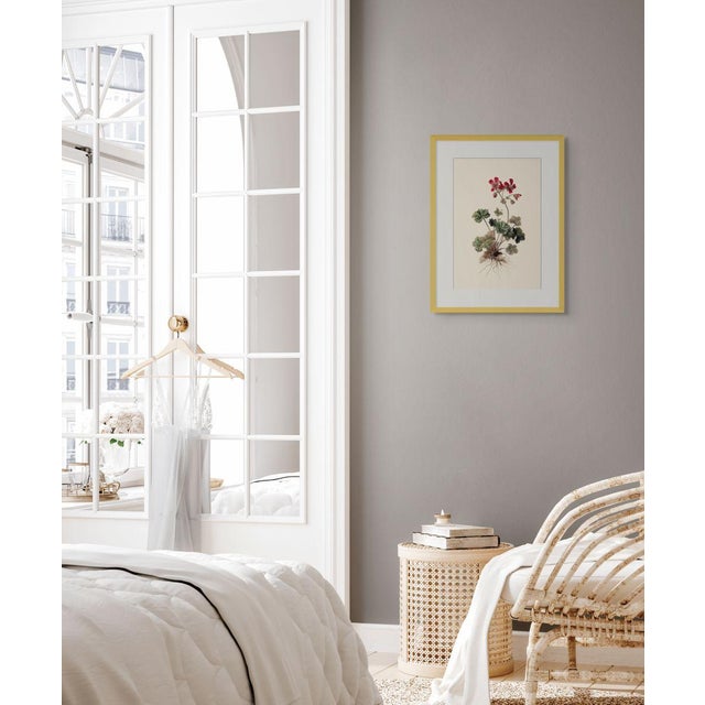 8" X 12" 'Geranium Robertianum' - Botanical Herbarium Watercolor & Pencil Flower Print For Sale - Image 4 of 4