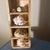 2000 - 2009 Multi-Tier Stained Wood Shelf With Natural Conch and Murex Shells For Sale - Image 5 of 12