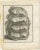 Set of three antique prints of fossils, most likely mammoth. Source unknown, to be determined. Published circa 1810.