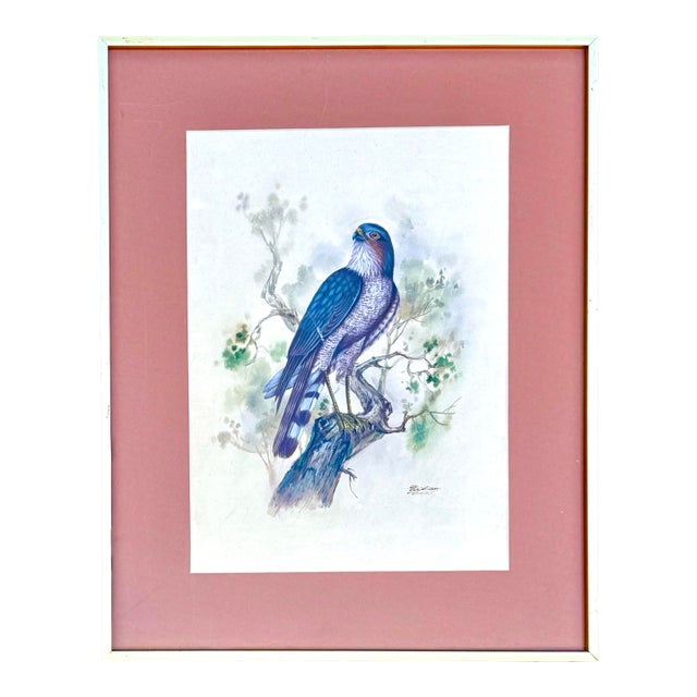 Vintage 1985 Watercolor of Hawk – Signed Bird Painting in Gold Frame For Sale