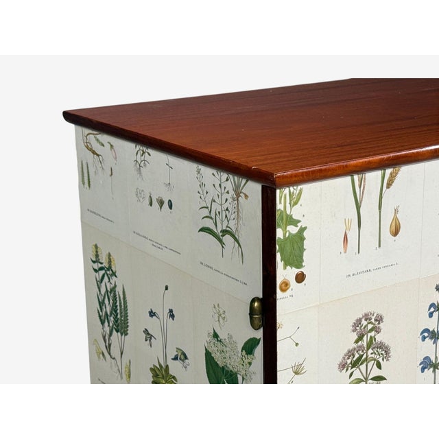 Swedish Modern, Nordens Flora Cabinet, Birch, Floral Lithographs, Sweden, 1940s For Sale - Image 12 of 16