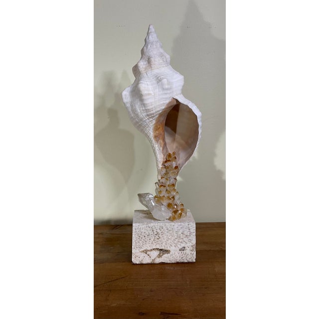 Handcrafted Marine & Mineral Sculpture by Joseph Malekan For Sale - Image 12 of 18