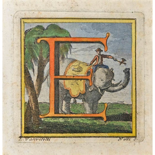 Letter of the Alphabet E from the series "Antiquities of Herculaneum", is an etching on paper realized by Luigi Vanvitelli...