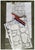 Ukraine Rug by Stefano Arienti For Sale - Image 4 of 7