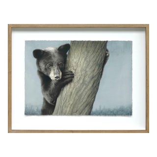 Yearling Black Bear by Susan McDonnell | Watercolor and Gouache Bear Painting For Sale