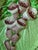 Carlton Ware Vintage Hand Painted "Green Foxglove" Pattern Dish by Carlton Ware For Sale - Image 4 of 6