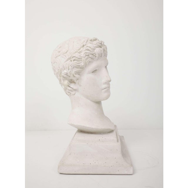 Neoclassical French Plaster Bust of a Classical Youth For Sale - Image 3 of 6